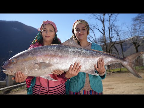 Giant Fish Cutting and Cooking Fried Fish with Rice Recipe in Village ♧ Big Fish Recipe