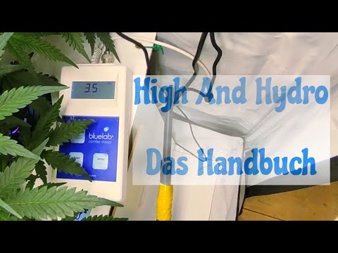 Folge 10 - Next Level Strategie