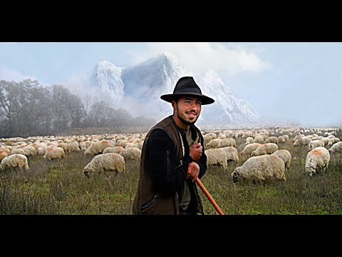 VIAȚA CIOBANILOR DOCUMENTAR - PUIU MĂDĂLIN IN TRANSHUMANTA LA  26 DE ANI CU PESTE 2000 DE OI !