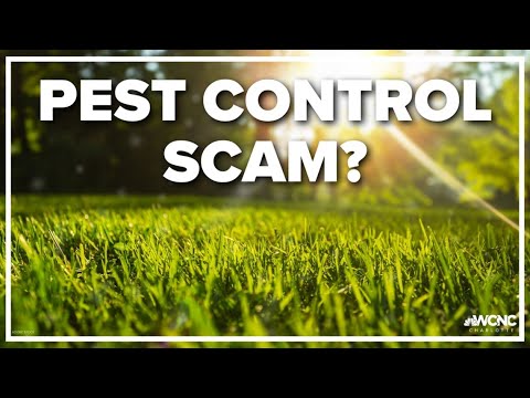 Rock Hill man says he was scammed by pest control company