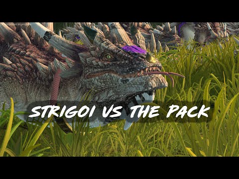 Strigoi vs The Pack - Total War Warhammer 3