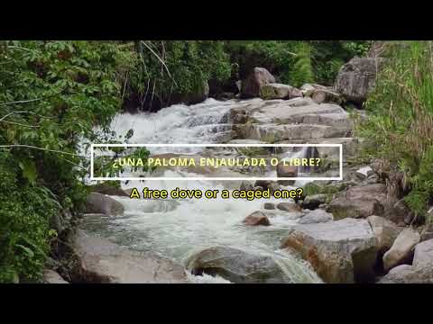 Argelia, Antioquia, Colombia: Río Santo Domingo | Santo Domingo River (English subtitles)