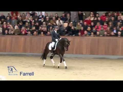 Blue Hors Farrell 2014