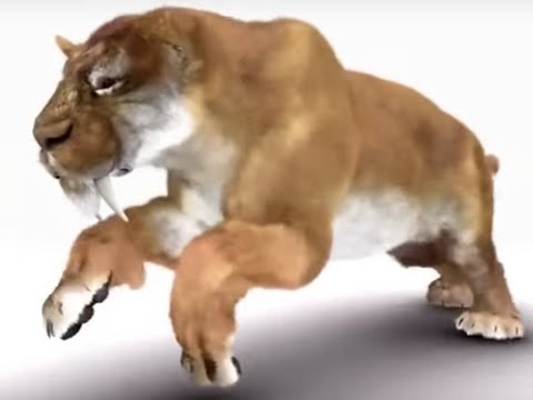 Prehistoric Assassins [2010] - Smilodon Screen Time