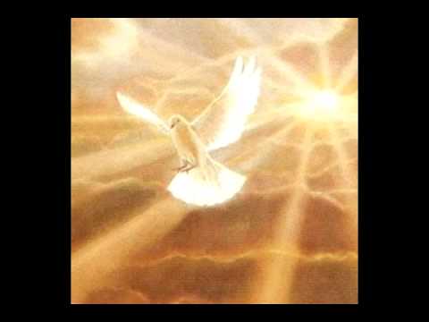 Nikad nemoj biti sam - Marija Previšić