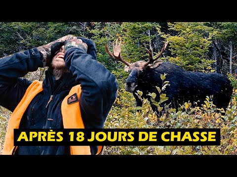 L'orignal du dernier instant sur la Réserve Faunique de Matane - Roadhunt Saison 4 - Épisode 9