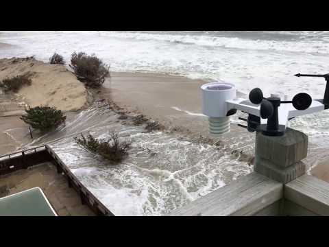 NOR'EASTER RILEY // OBX OUTER BANKS, HATTERAS ISLAND, AVON NC