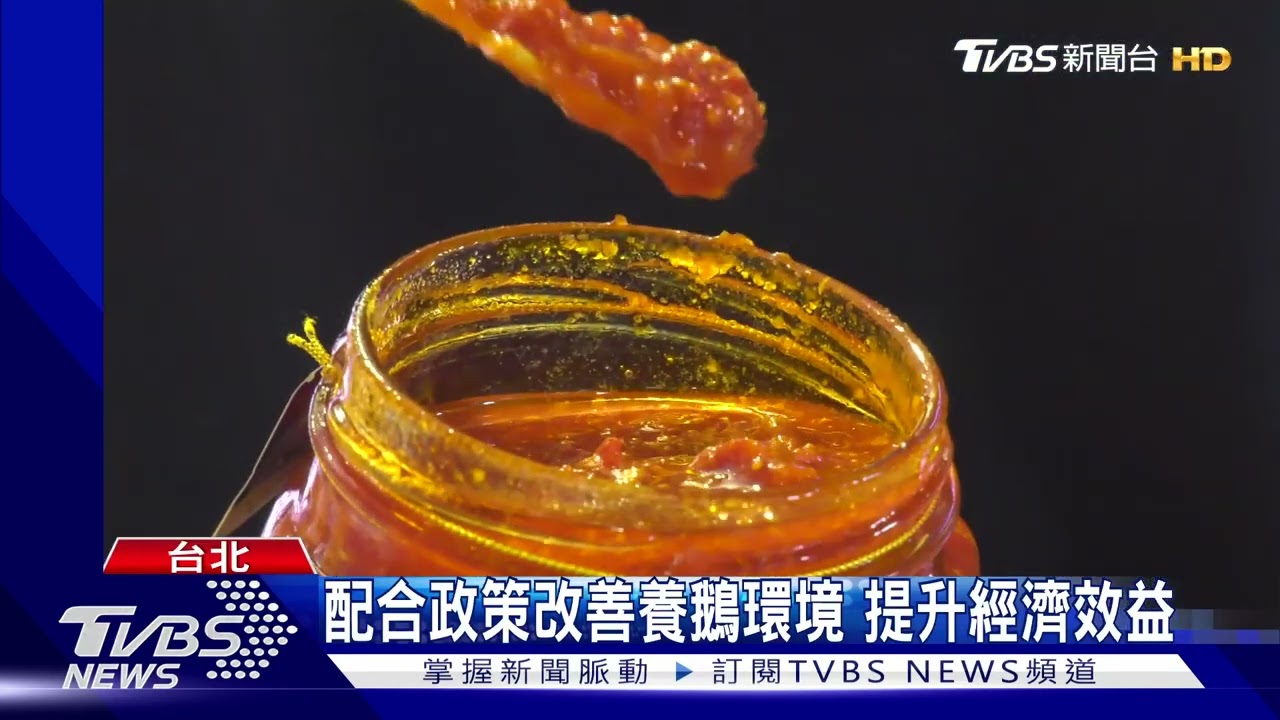 配合政策改善養鵝環境 提升經濟效益