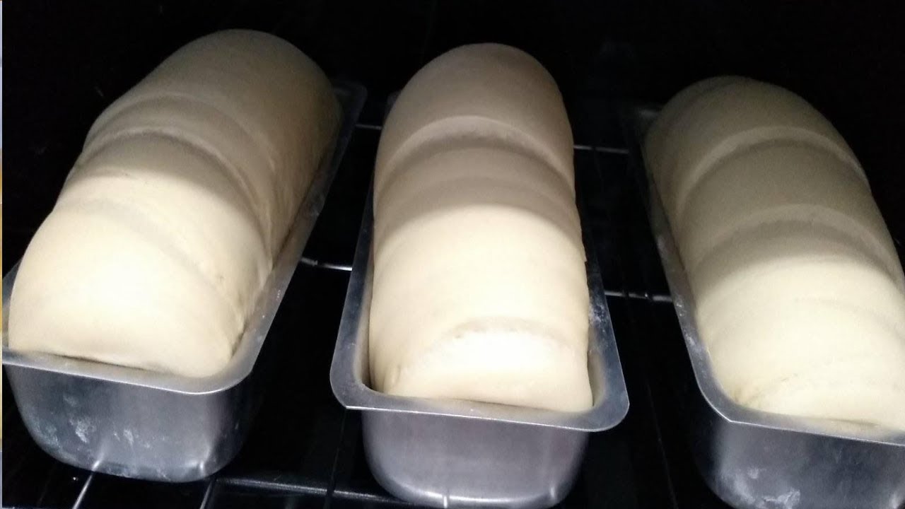 Watch Now PÃO DE INVERNO?? Oque Fazer Para Meus Pães crescer - Você não Vai Perder essa Dica ???? PÃO DE INVERNO?? Oque Fazer Para Meus Pães crescer - Você não Vai Perder essa Dica ????