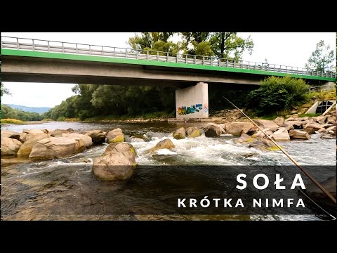 Soła / kilka rybek i kontrola SSR #pstrągi #fishing #wędkarstwo #flyfishing #pasja #flyfishing