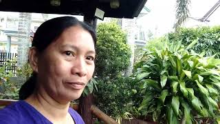 Nagalit ang amo dahil hindi nakatuyo ng mga labahin