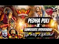 Pedda Puli Bonalu Song Sunrisers Hyderabad