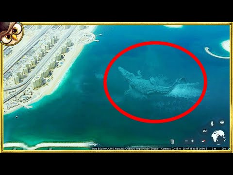 30 Giant Creatures Found On Earth & Caught on Camera