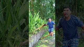 Download lagu You Won’t Believe What Came Out of the Jungle 🐍. #funny #viral #shorts #snacks #trending mp3 Download lagu You Won’t Believe What Came Out of the Jungle 🐍. #funny #viral #shorts #snacks #trending mp3