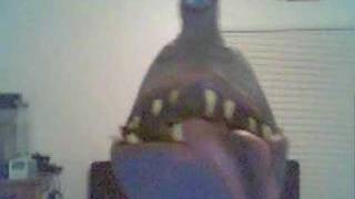 Itsy Bitsy Titty Monster