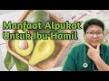 MANFAAT BUAH ALPUKAT UNTUK IBU HAMIL TANYAKAN DOKTER