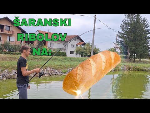 RIBOLOV KOJI KOŠTA 2€😱 | Ribolov šarana na kruh
