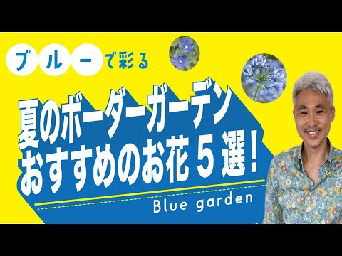 ブルーベルは剪定したほうがいいでしょうか？将来美しい花を咲かせるためにどのように世話をすればよいですか？  庭園