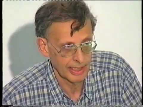 5.3 E. Stein : Some geometrical concepts arising in harmonic analysis