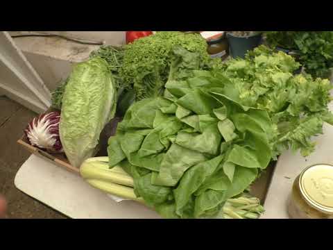 2019 03 06 weitere Erfahrungen zur Gerson Mania