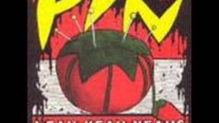 Yeah Yeah Yeahs - Pins