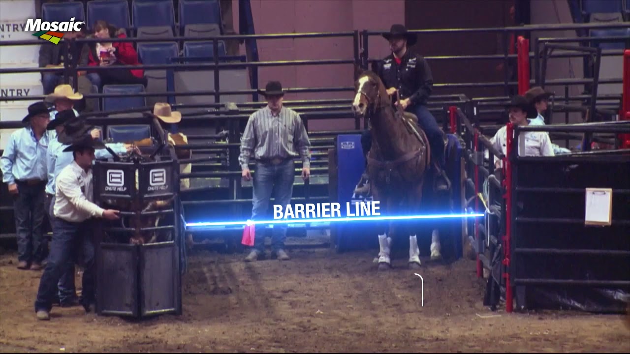 Rodeo 101 - Steer Wrestling
