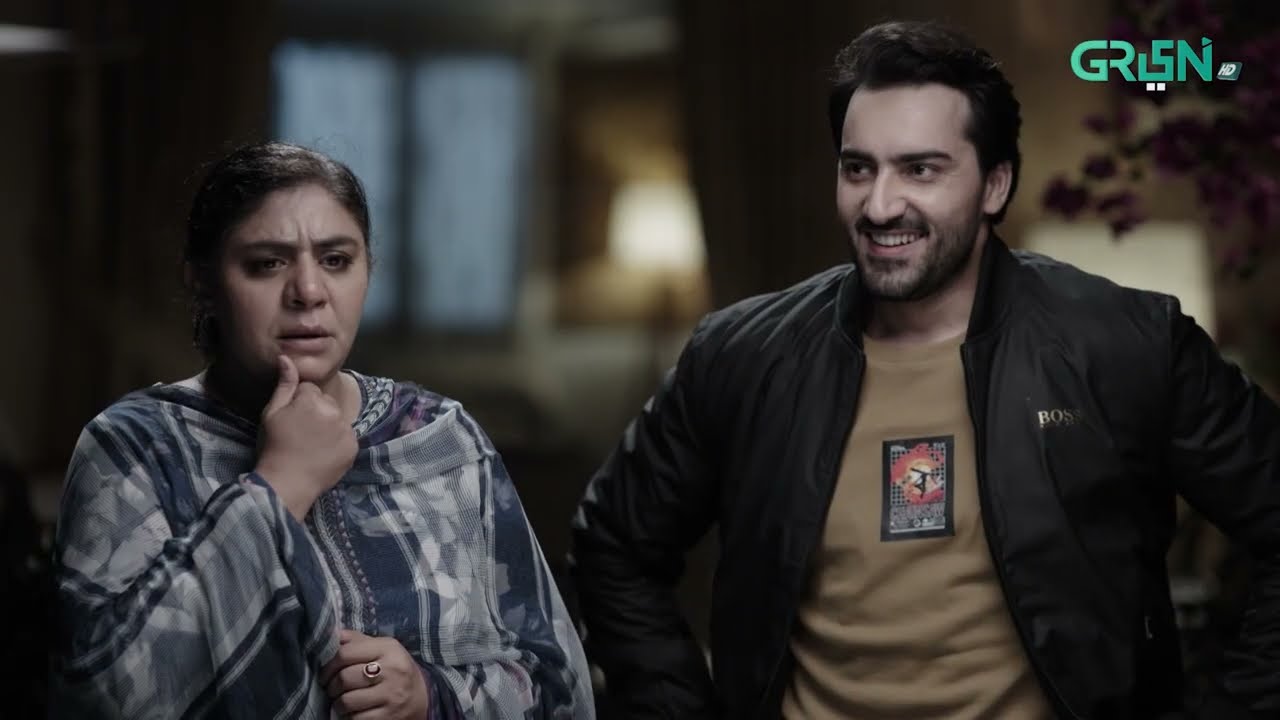 Aik Bhool Episode 45 | Best Moment 03 | Saniya Shamshad - Dania Enwer - Hammad Farooqui | Green TV