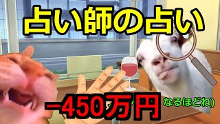 【猫ミーム】一晩で借金大魔王になった話