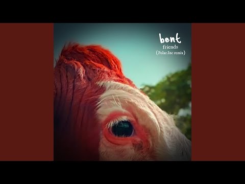 Friends (Polar Inc. Remix)