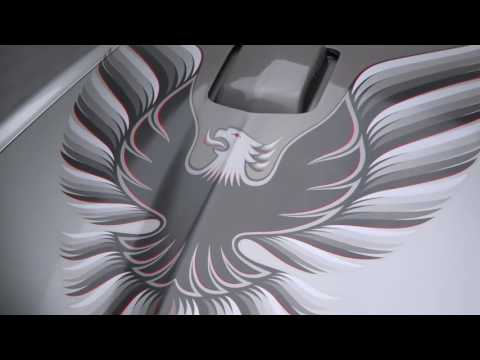 1979 Pontiac Firebird Trans Am 10th Anniversary Edition (CC-892733) for sale in Charlotte, North Carolina