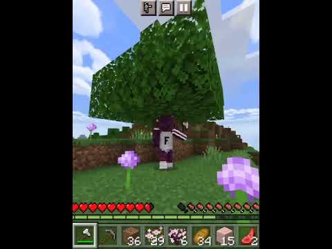 Minecraft Survival Series(Episode-1).....#shorts