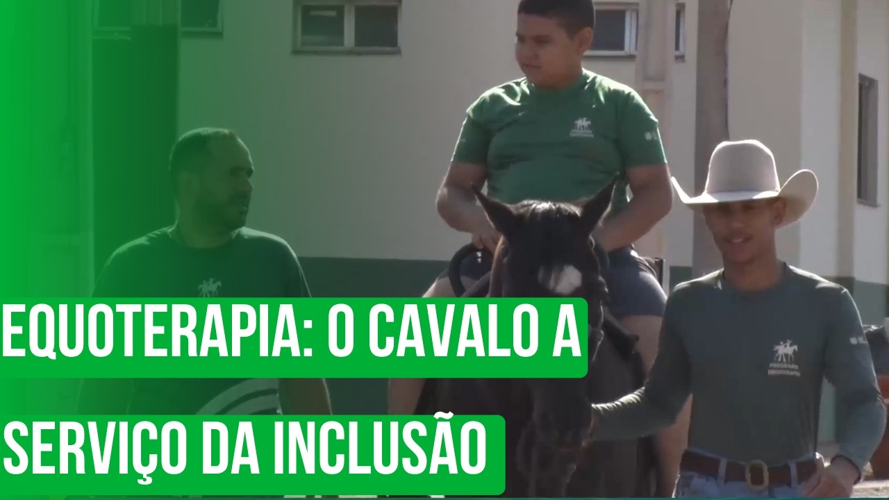 Equoterapia: o cavalo a serviço da inclusão