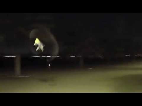 WORLD CHAMPION RC Helicopter pilot Demonstrates his Awesome Skills