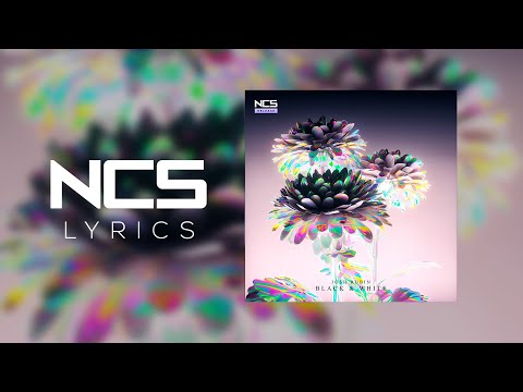 Josh Rubin - Black and White [NCS Lyrics]