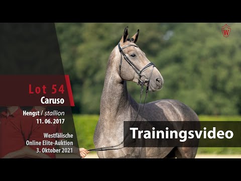 62. Elite-Auktion Training Lot 54 Caruso v. Canoso / Quintero