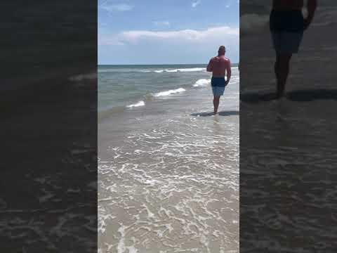 This is the shark that likely bit a 13-year-old girl Sunday (6/13/2021) in Fernandina Beach, FL