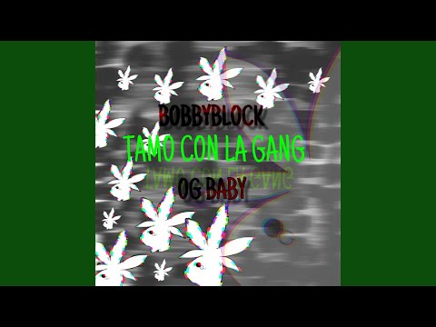 Tamo Con la Gang