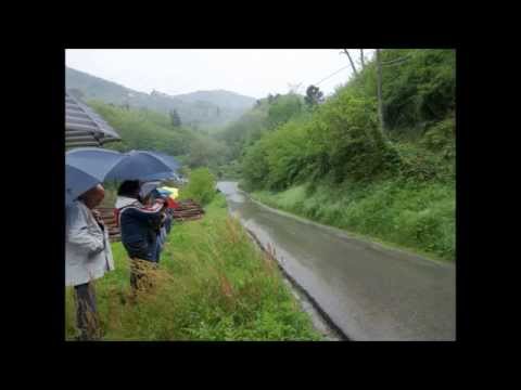 30° Rally della Valdinievole 2014