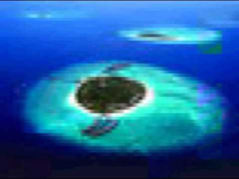 all saints pure shores hardcore @ is forever . KHU