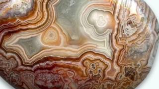 Video 1: Using a Flatbed Scanner