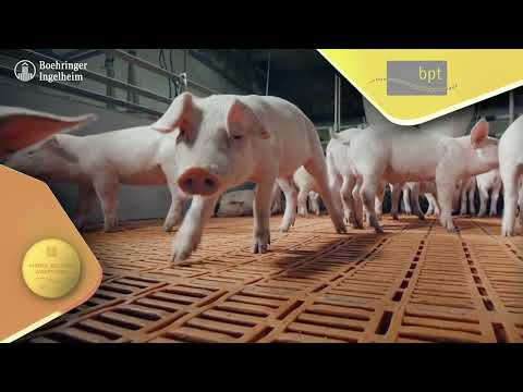 EuroTier Animal Welfare Award 2022 - SoundTalksBoehringer Ingelheim Vetmedica GmbH