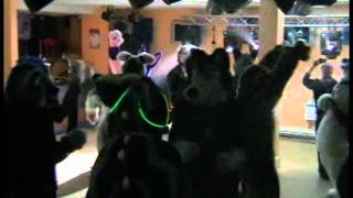 Dead Dog party CF 2011 Manchester