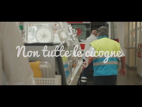 La cicogna del Meyer