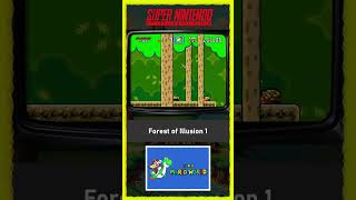 Capa de Forest of Illusion 1 (Normal)