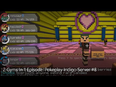 2 Gyms In 1 Episode | Pokeplay Indigo Server #8