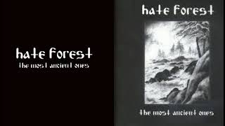 Hate Forest - Darkness