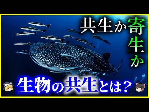 生物学における共生: 意味と例