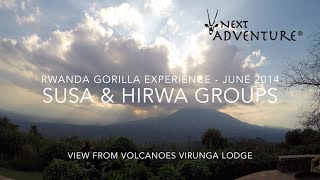 preview picture of video 'Rwanda Gorilla Experience'