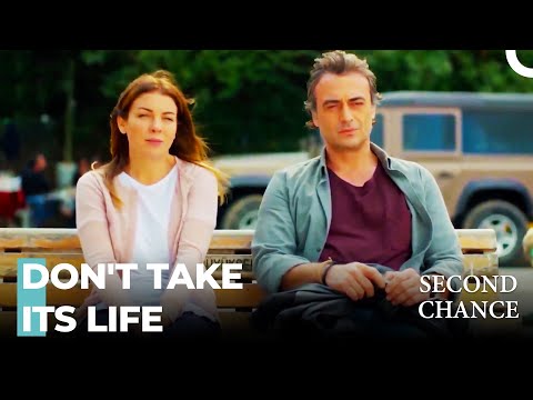 I Couldn't Do It, I Couldn't Abort It - Second Chance