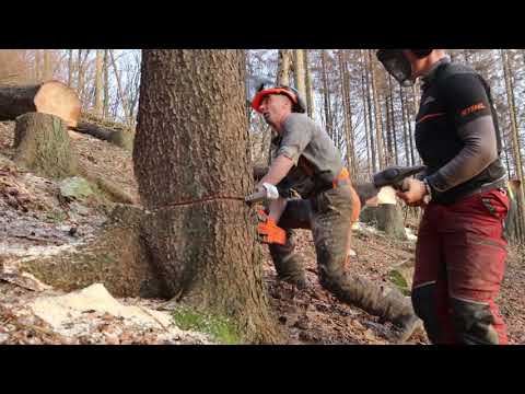 Trailer/Kampf gegen den Borkenkäfer/ Sauerland / John Deere Forst Maschinen / Harvester /Forwarder